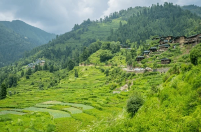 Paragliding in Bir Billing